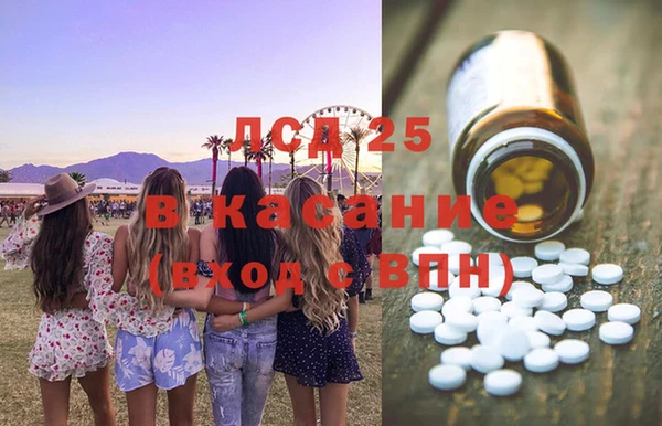 ECSTASY Богданович